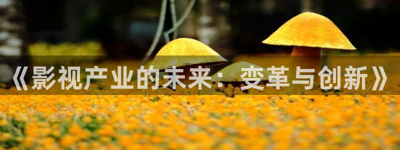 藍莓視頻 小心入：《影視產業(yè)的未來：變革與創(chuàng)新》